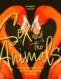 bokomslag Sex and the Animals