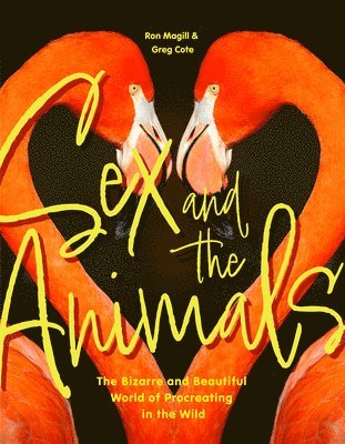 bokomslag Sex and the Animals