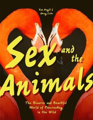 Sex and the Animals