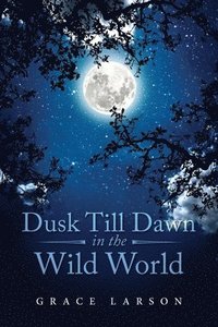 bokomslag Dusk Till Dawn In The Wild World
