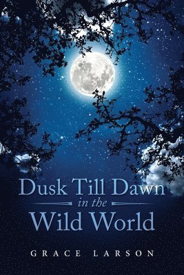 bokomslag Dusk Till Dawn In The Wild World