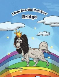 bokomslag I Can See The Rainbow Bridge