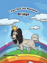 bokomslag I Can See The Rainbow Bridge