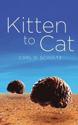 Kitten to Cat 1