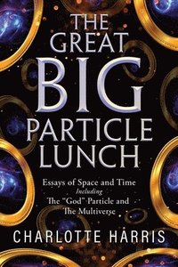 bokomslag The Great BIG Particle Lunch