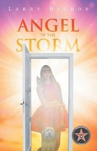 bokomslag Angel Of The Storm