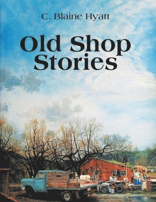 bokomslag Old Shop Stories