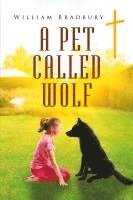 bokomslag Pet Called Wolf