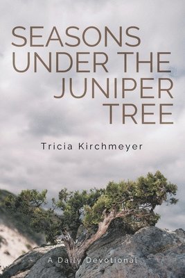 Seasons Under the Juniper Tree 1