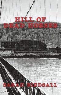 bokomslag Hill of Dead Horses