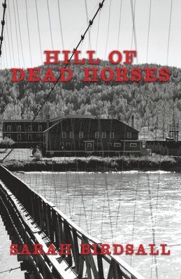 bokomslag Hill of Dead Horses