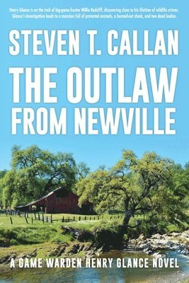 bokomslag Outlaw from Newville