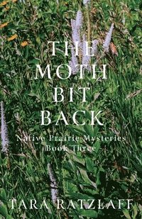 bokomslag Moth Bit Back