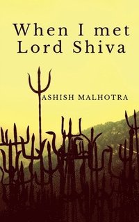 bokomslag When I met Lord Shiva