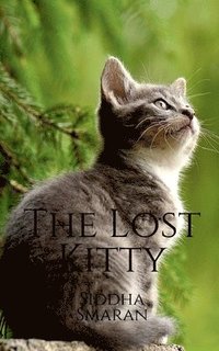 bokomslag The Lost Kitty