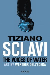 bokomslag Voices of Water
