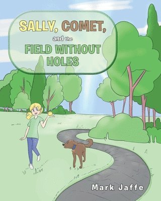 Sally, Comet, And The Field Without Holes 1