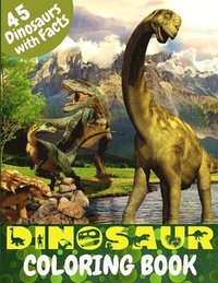 bokomslag Dinosaur Coloring Book