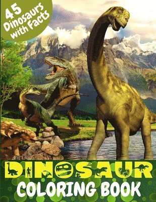 bokomslag Dinosaur Coloring Book