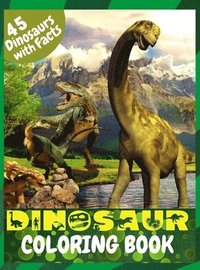 bokomslag Dinosaur Coloring Book
