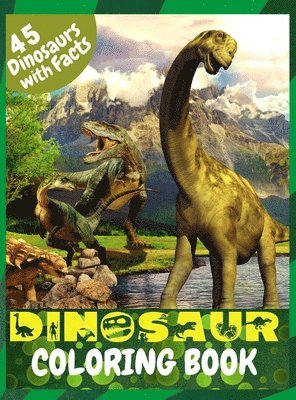 bokomslag Dinosaur Coloring Book