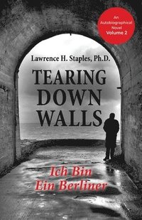 bokomslag Tearing Down Walls