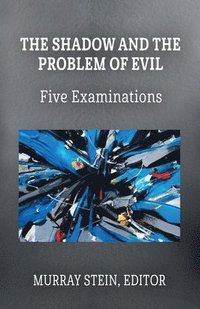 bokomslag Shadow and the Problem of Evil