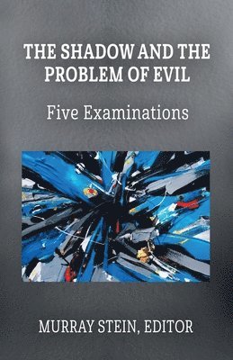bokomslag Shadow and the Problem of Evil