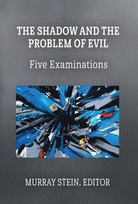 bokomslag Shadow and the Problem of Evil