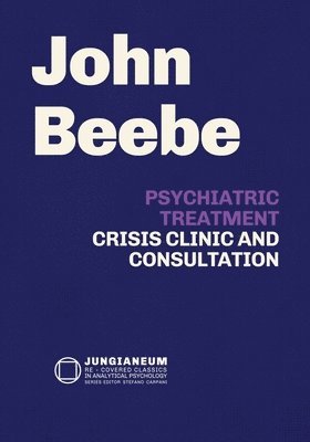 John E Beebe, John E. Beebe - Psychiatric Treatment, Häftad