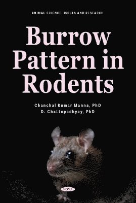 Burrow Pattern in Rodents 1