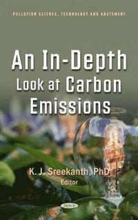 bokomslag In-Depth Look at Carbon Emissions