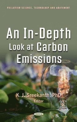 bokomslag An In-Depth Look at Carbon Emissions