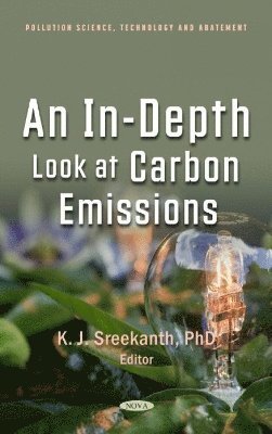 bokomslag In-Depth Look at Carbon Emissions