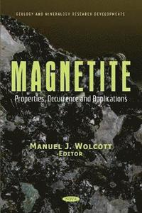 bokomslag Magnetite