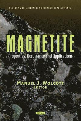 bokomslag Magnetite