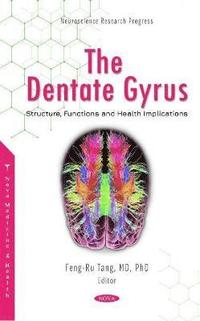 bokomslag Dentate Gyrus