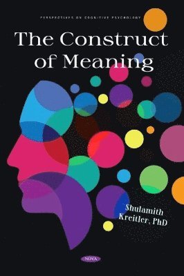 The Construct of Meaning 1