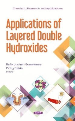 bokomslag Applications of Layered Double Hydroxides