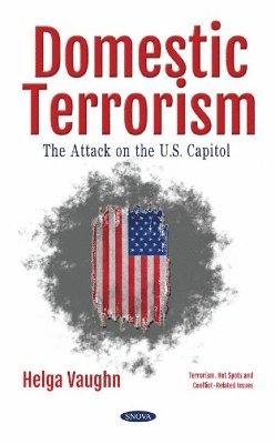 bokomslag Domestic Terrorism