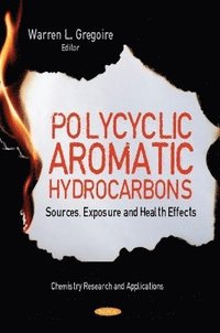 bokomslag Polycyclic Aromatic Hydrocarbons