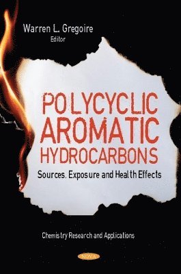 bokomslag Polycyclic Aromatic Hydrocarbons