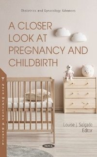 bokomslag A Closer Look at Pregnancy and Childbirth