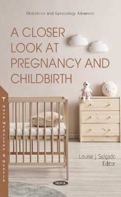 A Closer Look at Pregnancy and Childbirth 1