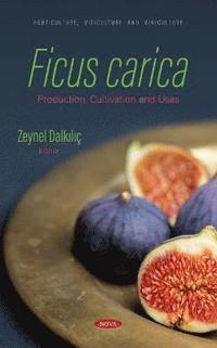 bokomslag Ficus carica: Production, Cultivation and Uses
