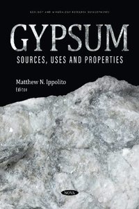 bokomslag Gypsum