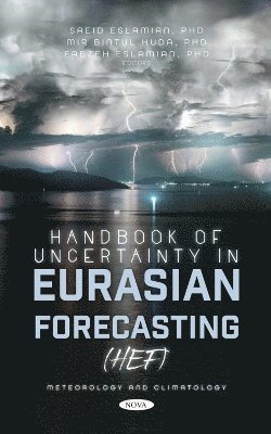 bokomslag Handbook of Uncertainty in Eurasian Forecasting (HEF)