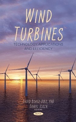 David Borge-Diez, Spain) Borge-Diez, David (Department of Electrical, Systems and Automation Engineering, University of Leon - Wind Turbines: Technology, Applications and Efficiency, Inbunden