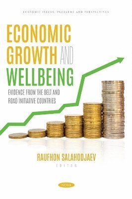 bokomslag Economic Growth and Wellbeing: Evidence from the Belt and Road Initiative Countries