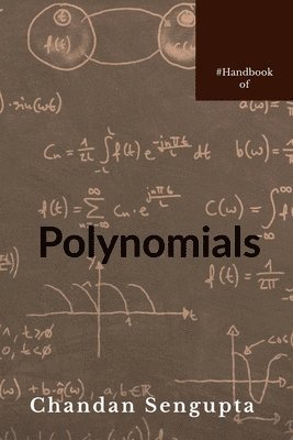 bokomslag Handbook of Polynomials